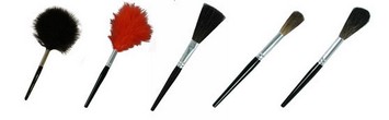 Fingerprint Brushes