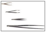 Forceps - Nickel Plated 