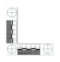 ABFO No. 2 Photomacrographic Scale