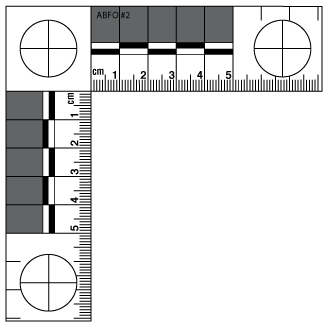 abfo scale