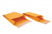 Evidence Envelopes - 100/pkg