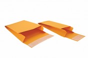 Evidence Envelopes - 100/pkg