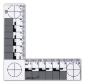 ABFO No.2 Photomacrographic Scale - Magnetic