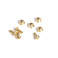 Corridor Substrate Hardware Mounting Screws