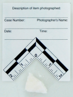 Photo Scale - Adhesive L-Shaped
